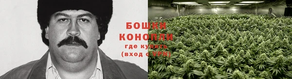 дживик Волоколамск