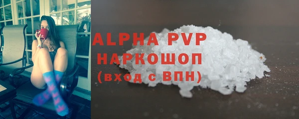 стафф Володарск