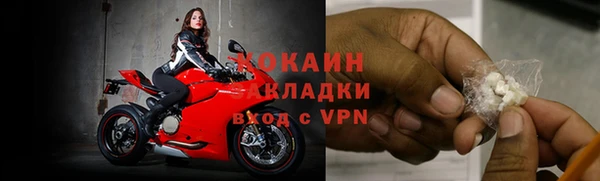 стафф Володарск