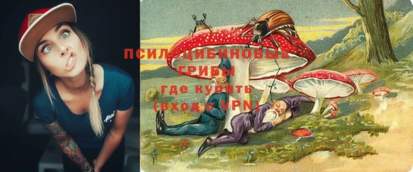 стафф Володарск