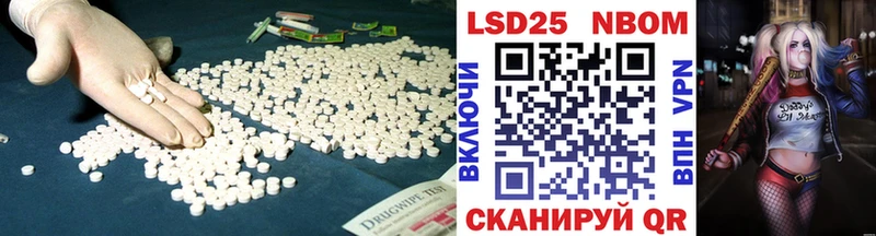 KRAKEN как войти Кущёвская Лсд 25 экстази кислота