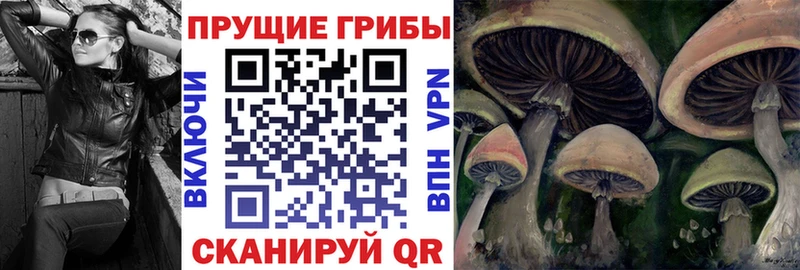 Галлюциногенные грибы мухоморы  Кущёвская 