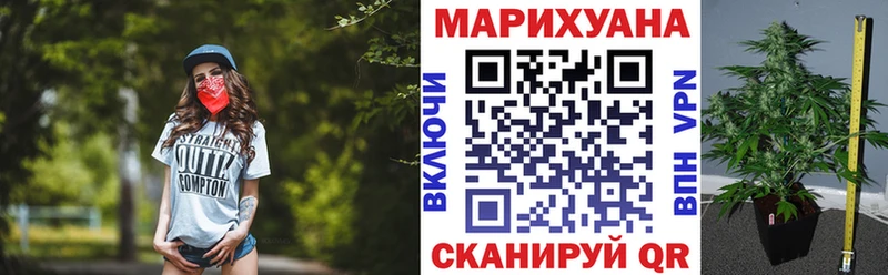 дарнет шоп  Кущёвская  Конопля семена 